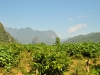 Auf dem Weg zu Tham Sang bei Vang Vieng. Im Hintergrund die bekannten Karsteinfelsen Auf dem Weg zu Tham Sang bei Vang Vieng. Im Hintergrund die bekannten Karsteinfelsen