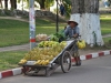 Bananenverkäufer in Vientiane Bananenverkäufer in Vientiane